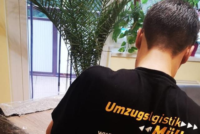 Laborumzug spreetal stressfrei umziehen 